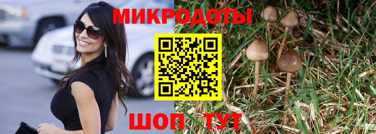 Ишим  Псилоцибиновые грибы мицелий  Вход с VPN 